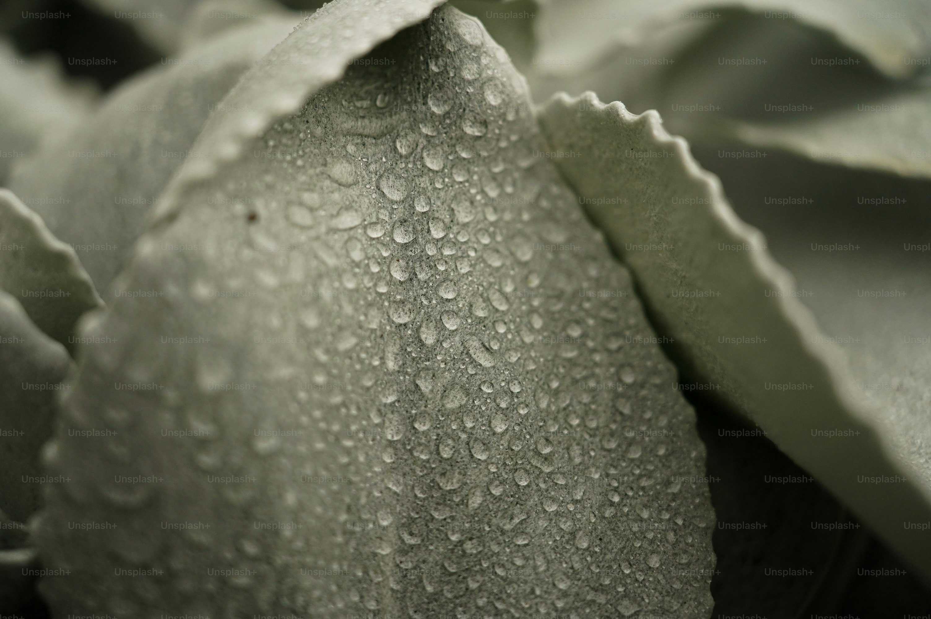 بارش کے قطروں میں بھیگا ہوا پرانا خط،
جس پر روشنائی کے دھبے پھیل کر لفظوں کو دھندلا رہے ہیں۔