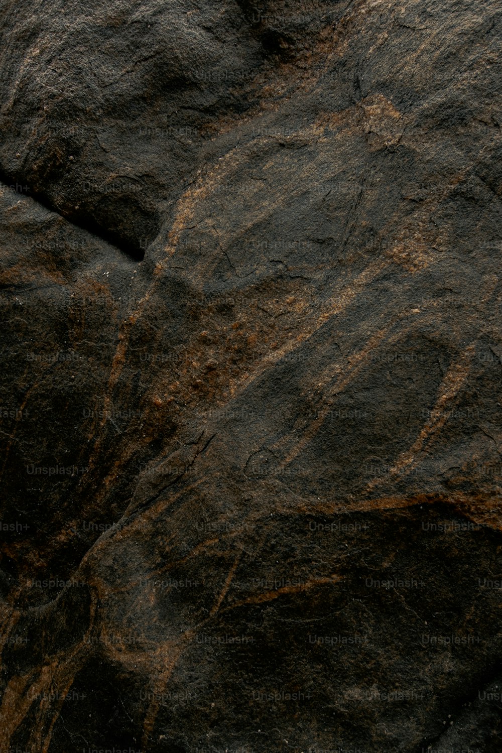 um close up de uma rocha com um pássaro sobre ela