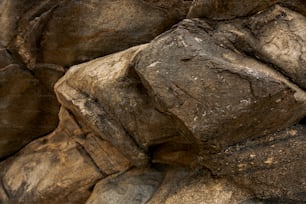 a bird is perched on a rock formation