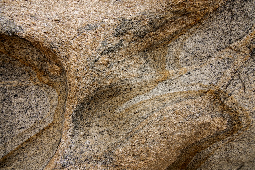 un gros plan d’un rocher avec un oiseau dessus