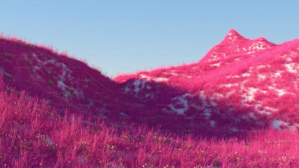 um campo cor-de-rosa com uma montanha no fundo