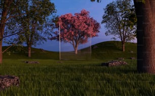 une image d’un arbre au milieu d’un champ