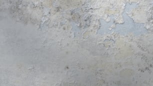 un uccello è appollaiato su un muro con vernice scrostata