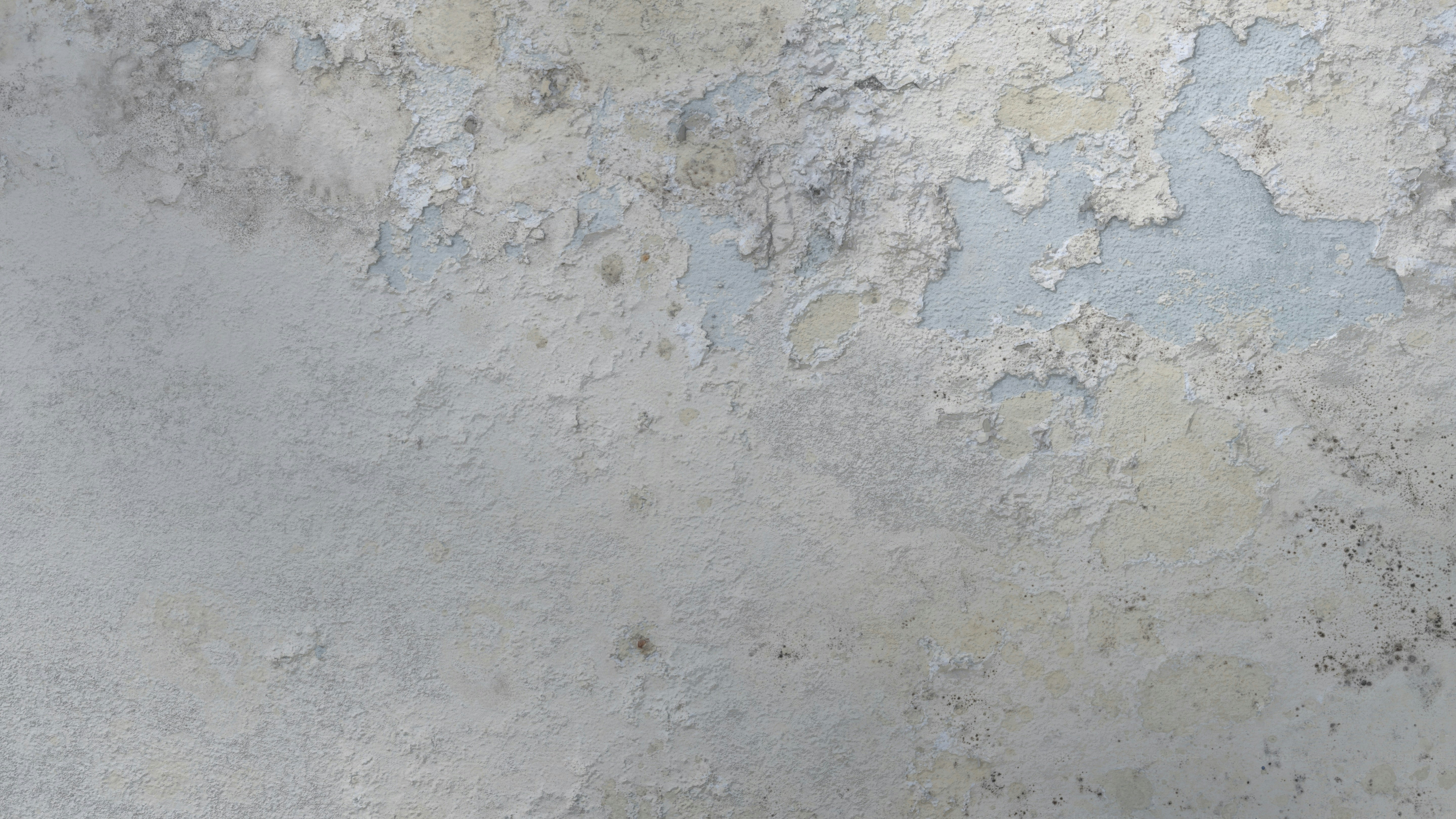 Choose from the highest quality selection of high-definition wallpapers-all submitted by our talented community of contributors. Free to download and use for your mobile and desktop screens.