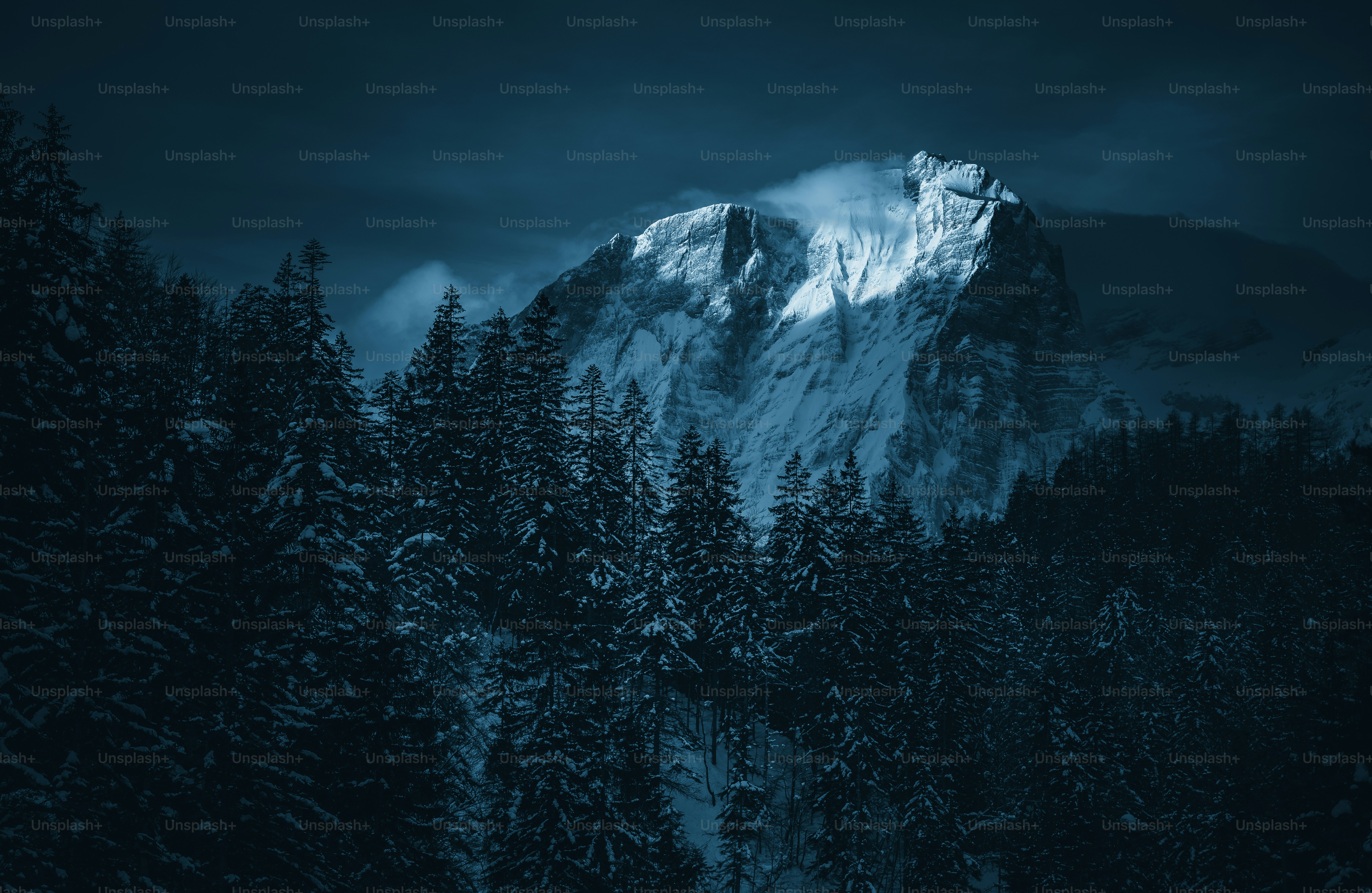 una montaña cubierta de nieve rodeada de árboles