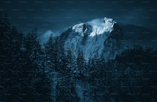 a mountain covered in snow surrounded by trees