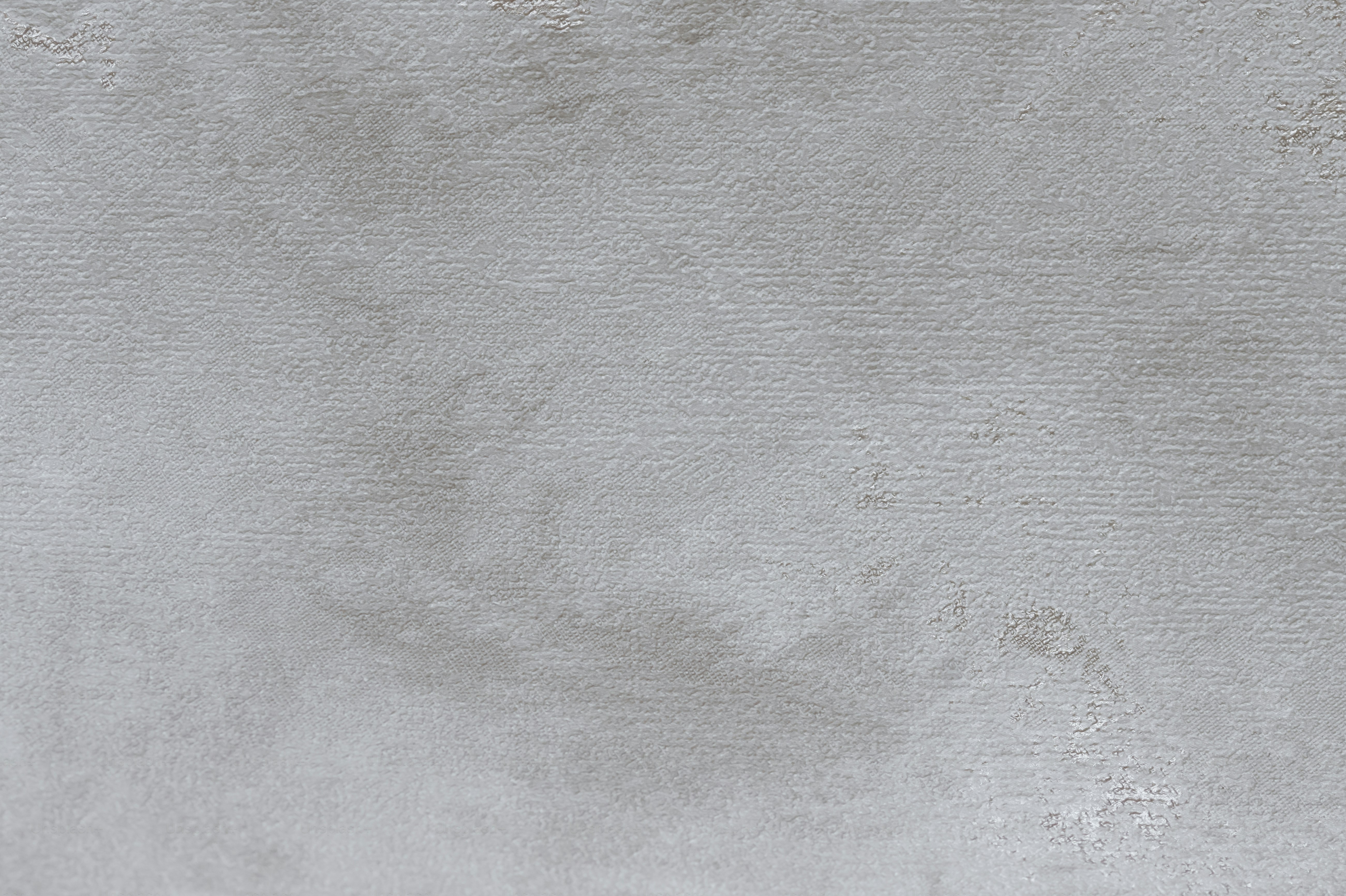 枝の上の鳥の白黒写真