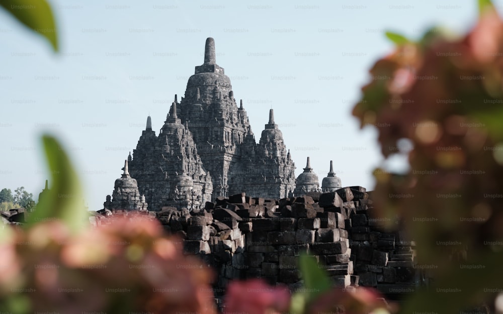 a view of a very tall building with many spires