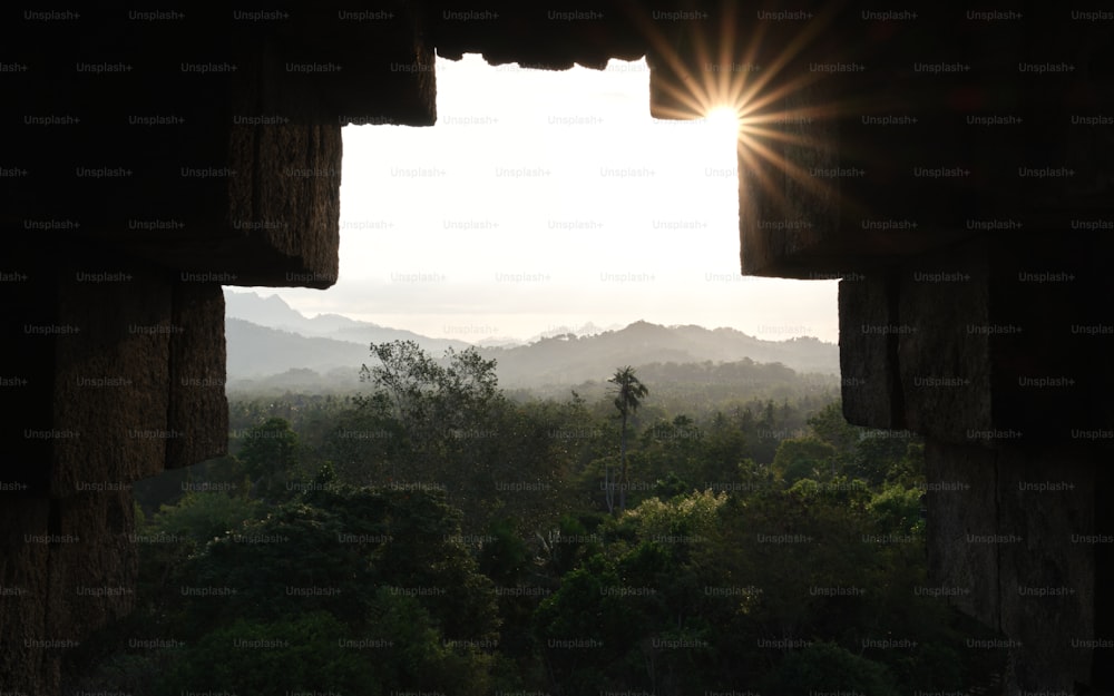 the sun is shining through an open window