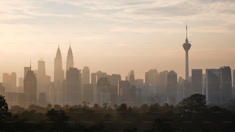 Una veduta dello skyline di una città con edifici alti