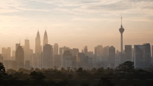 a view of a city skyline with tall buildings