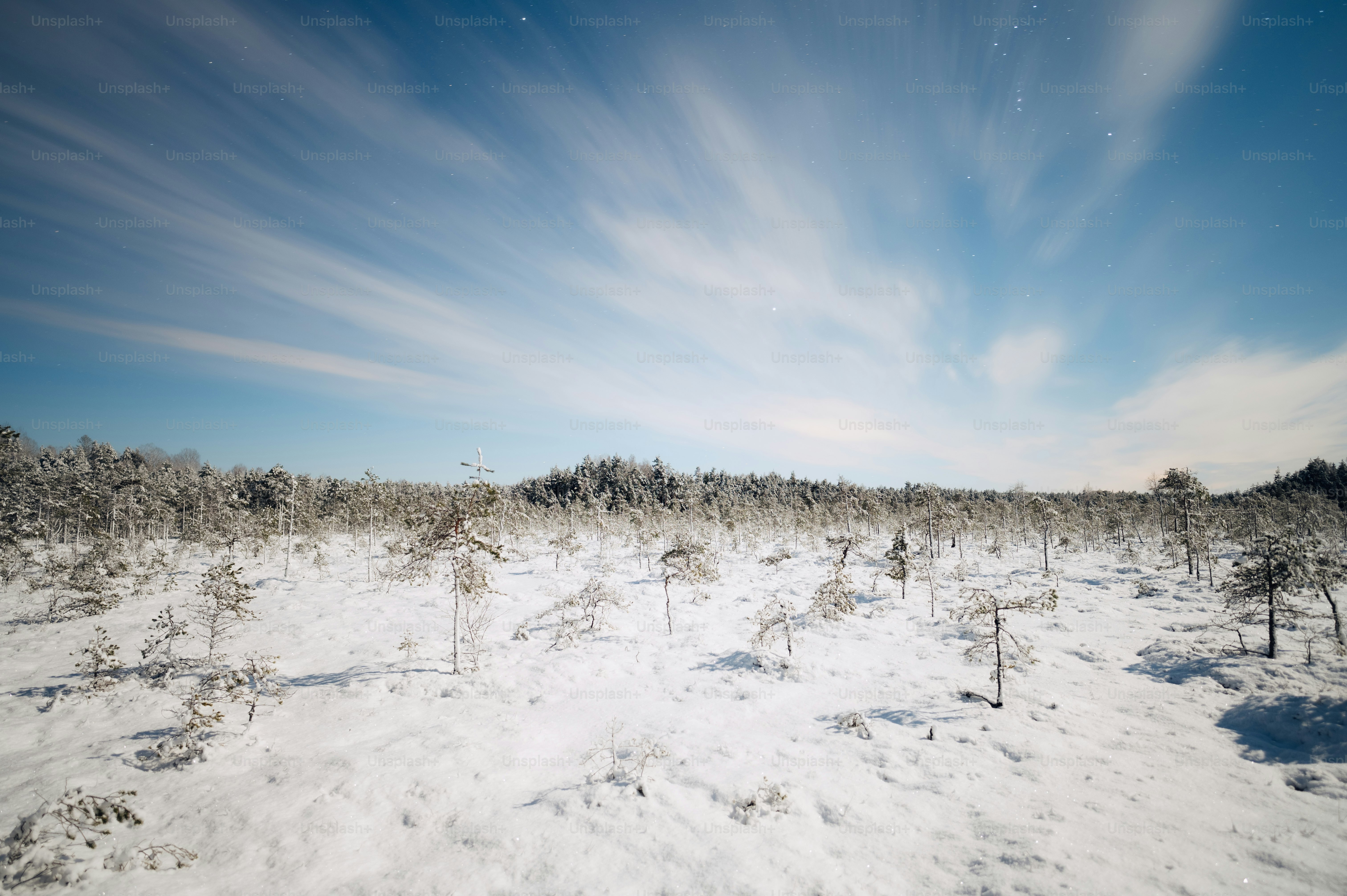 A snow covered field with trees under a blue sky photo – Lake Image on ...