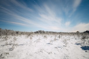a snow covered field with trees under a blue sky
