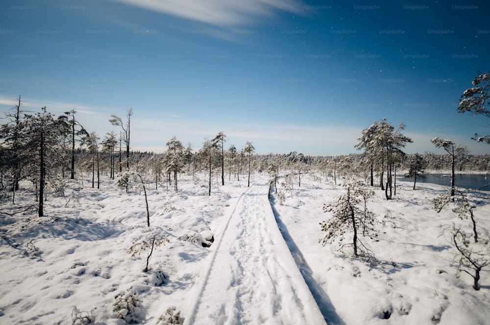 a snow covered path in the middle of a forest