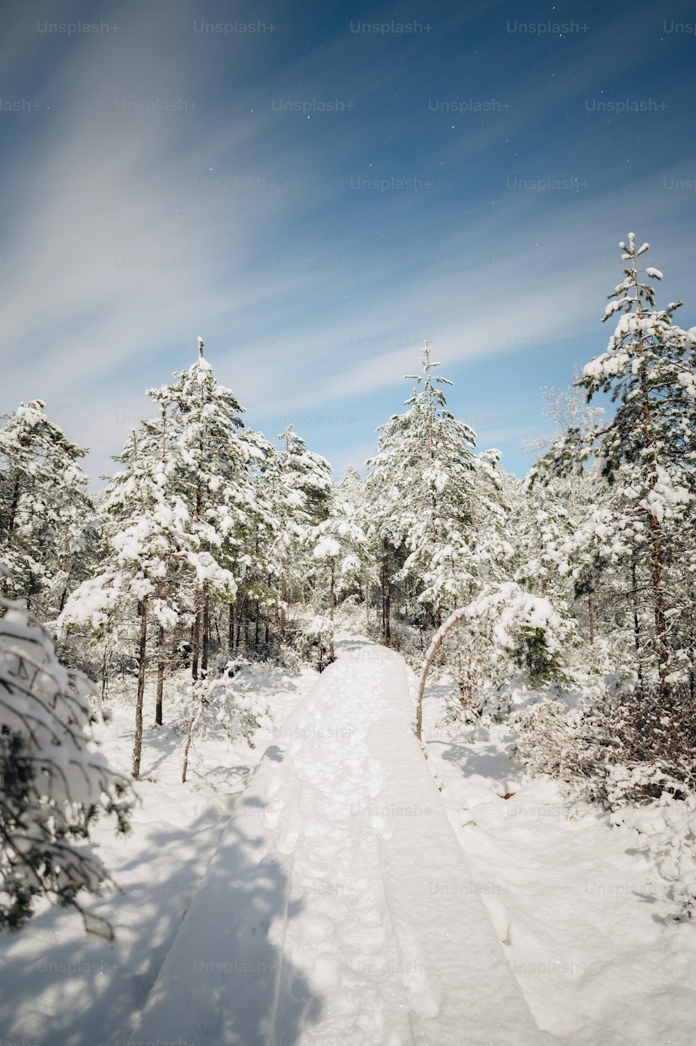 a snow covered path in the middle of a forest