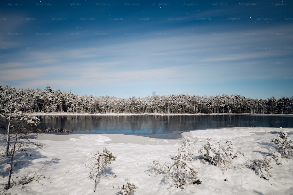 a lake surrounded by snow covered trees under a blue sky