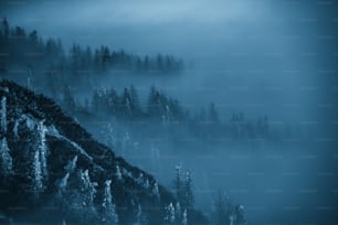 une montagne couverte de brouillard et d’arbres