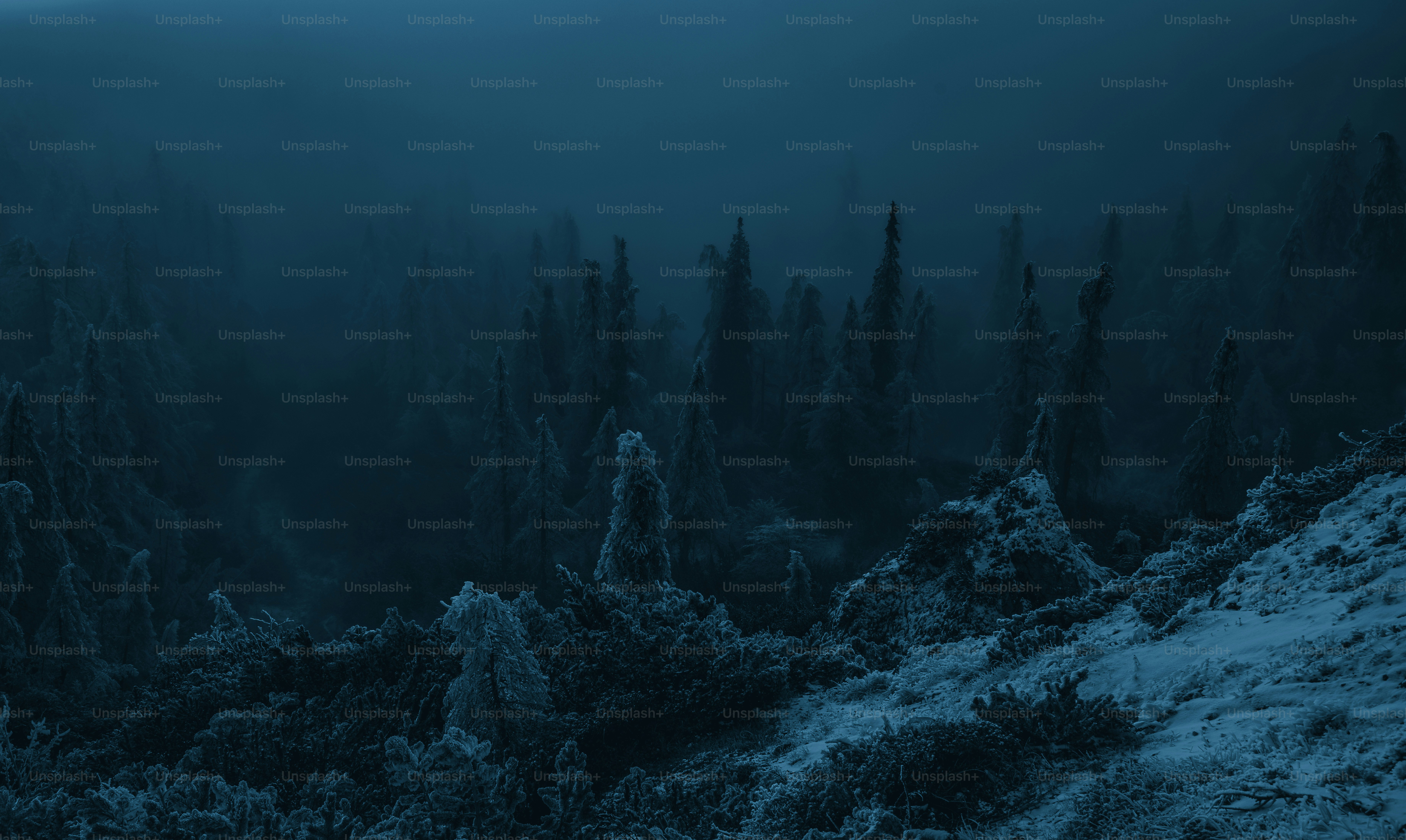 Dark mode wallpaper.