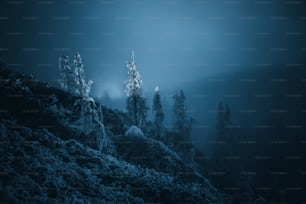 una montagna nebbiosa con alberi coperti di neve