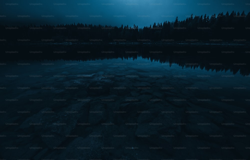 a dark lake with rocks and trees in the background