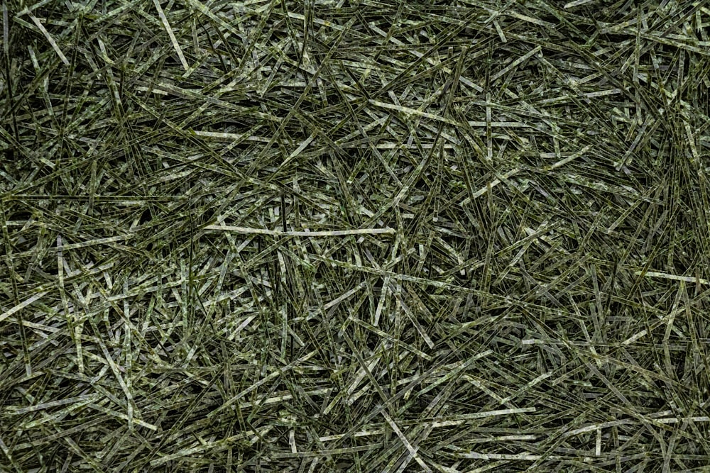 un mucchio di erba verde molto vicino al suolo