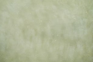 un fond vert avec une tache blanche au milieu