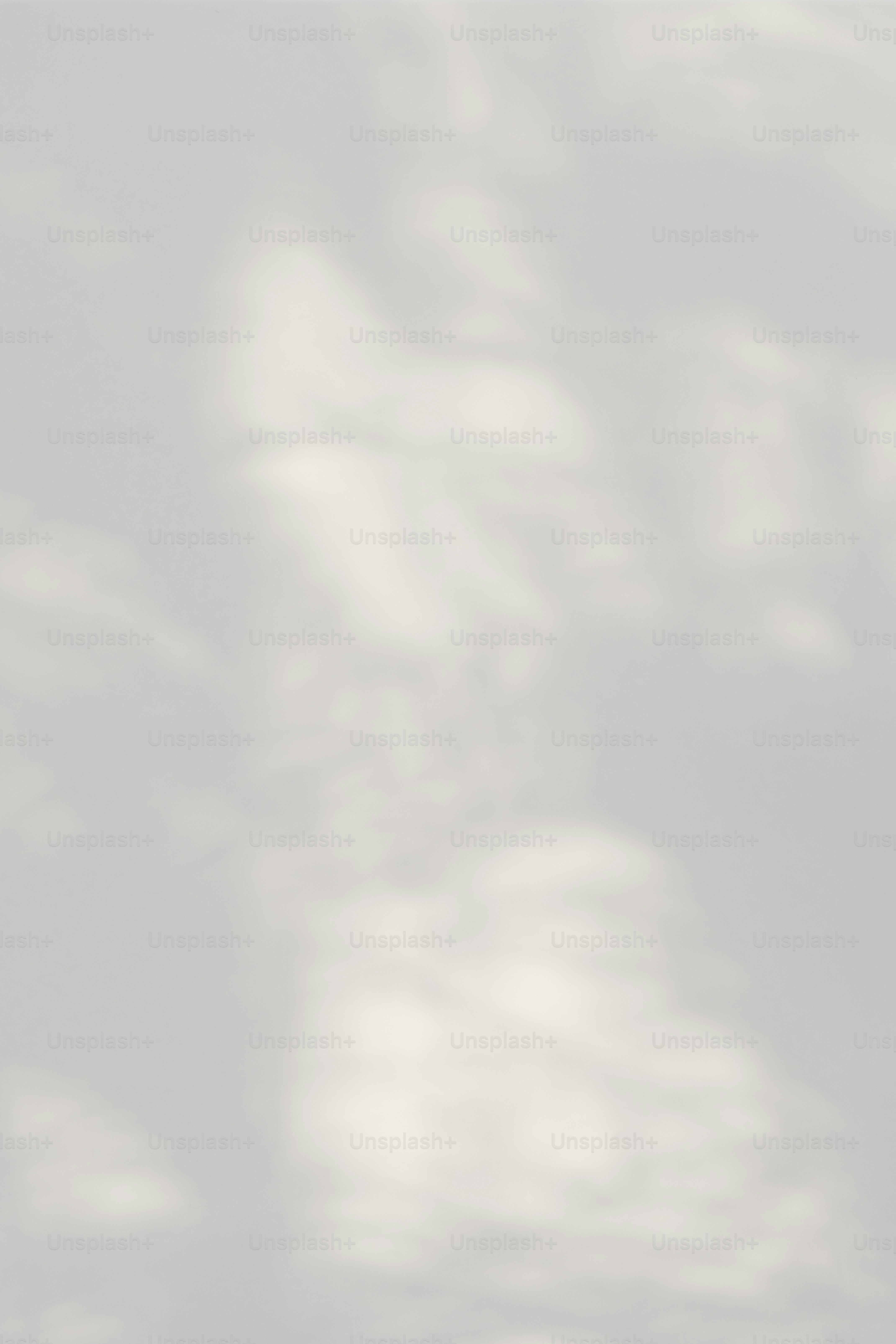 premium_photo-1701015911126-d13f114f6a6d?ixid=M3wxMjA3fDB8MXxzZWFyY2h8Mnx8ZGV3YXNjYXR0ZXJ8ZW58MHx8fHwxNzYyNDkxOTUwfDA\u0026ixlib=rb-4.1.0