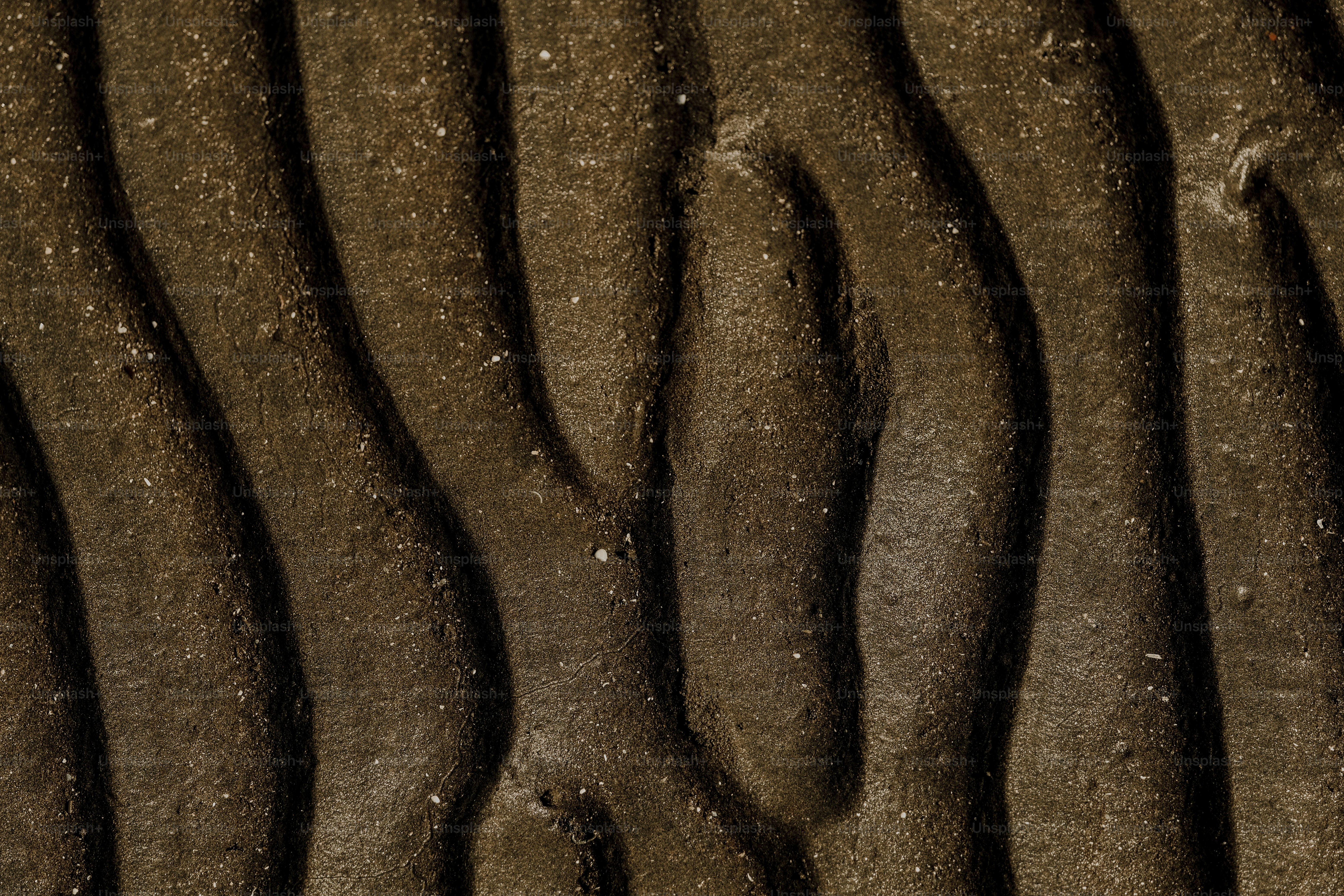 premium_photo-1701062879623-8d80f3aa2ee3?ixid=M3wxMjA3fDB8MXxzZWFyY2h8NXx8dHJ1ZmFzJTIweSUyMHNldGFzJTIwc2VjYXN8ZW58MHx8fHwxNzM1MjQ0MDg3fDA\u0026ixlib=rb-4.0.3