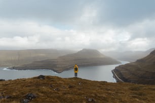 a person standing on a hill overlooking a body of water