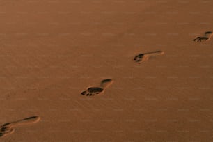 모래 속에 있는 두 개의 발자국