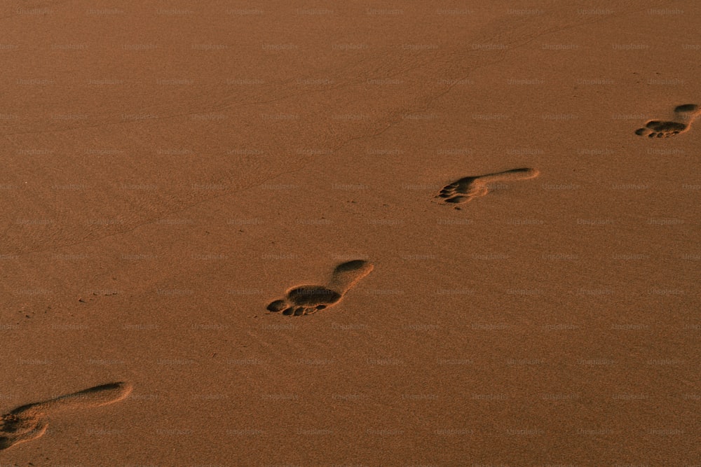 砂の中にあるいくつかの足跡
