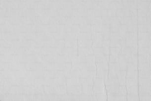 une photo en noir et blanc d’une personne sur une planche à roulettes