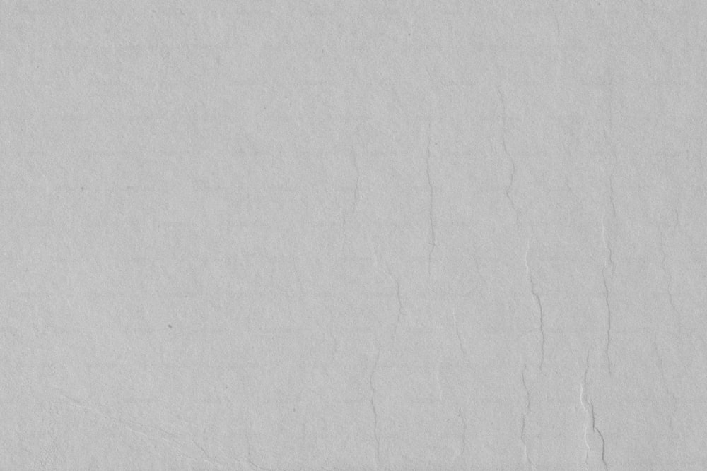 흰 벽의 흑백 사진
