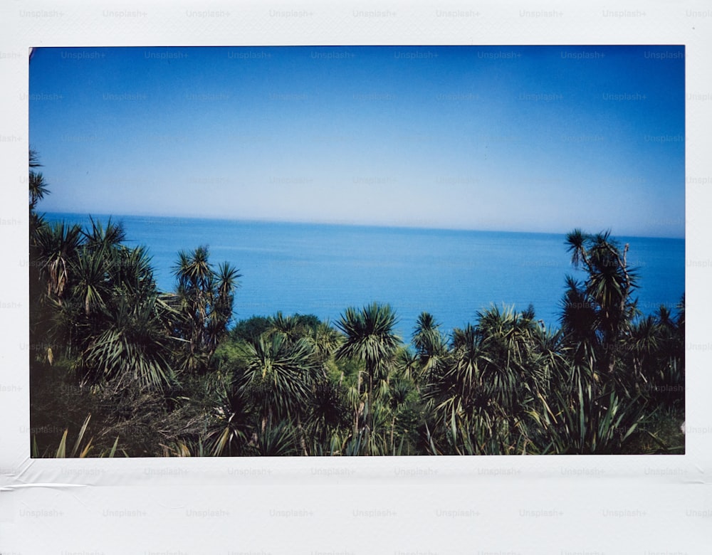 uma foto polaroid de uma vista do oceano