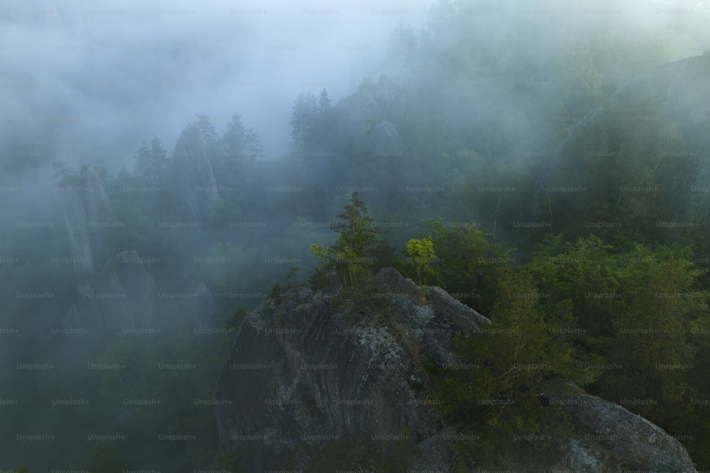 a foggy mountain with trees and rocks in the foreground