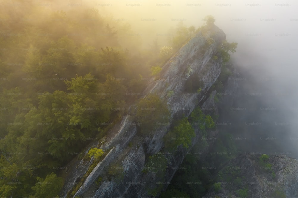 an aerial view of a foggy mountain with trees