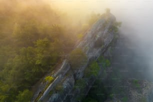 an aerial view of a foggy mountain with trees