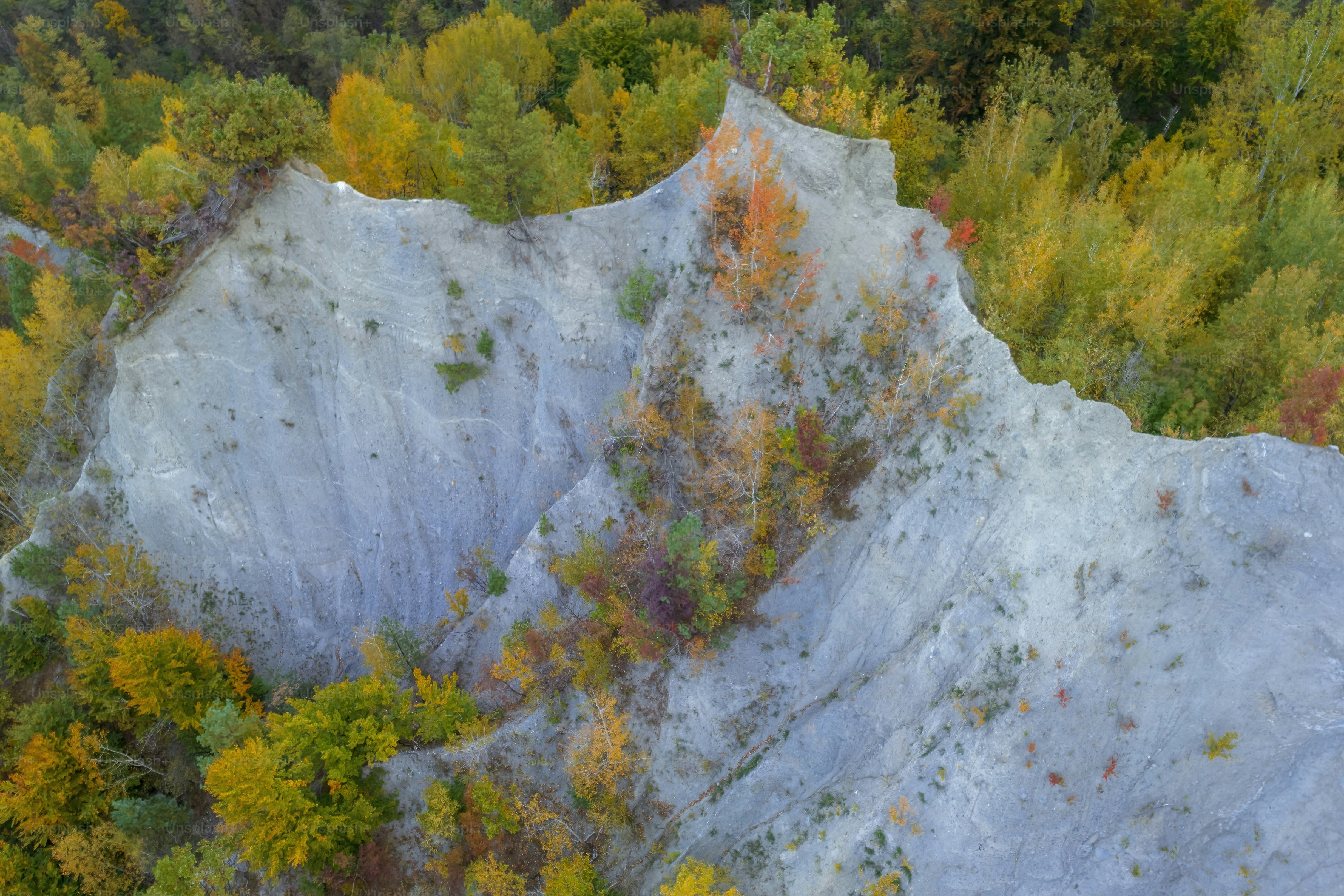 an aerial view of a mountain with trees in the background