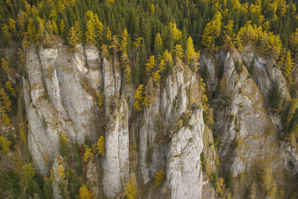 an aerial view of a rocky cliff with trees growing on it