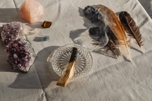 a table topped with feathers and other items