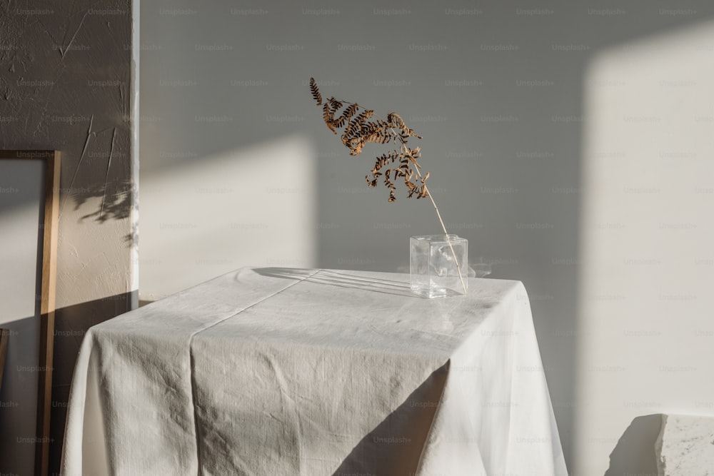 a table with a white table cloth and a vase with a plant in it