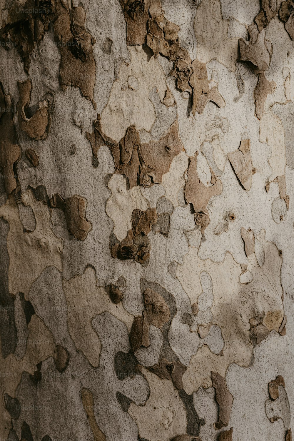 Un primer plano de una pared con pintura descascarada