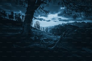 uma foto em preto e branco de uma árvore e montanhas