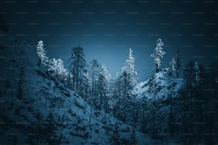 Una scena notturna di una montagna innevata con alberi