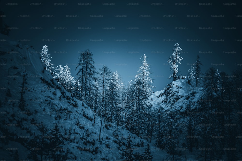 a night scene of a snowy mountain with trees