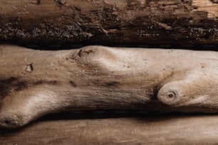 um close up de um pedaço de madeira com sujeira
