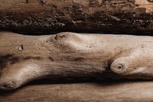 a close up of a piece of wood with dirt on it