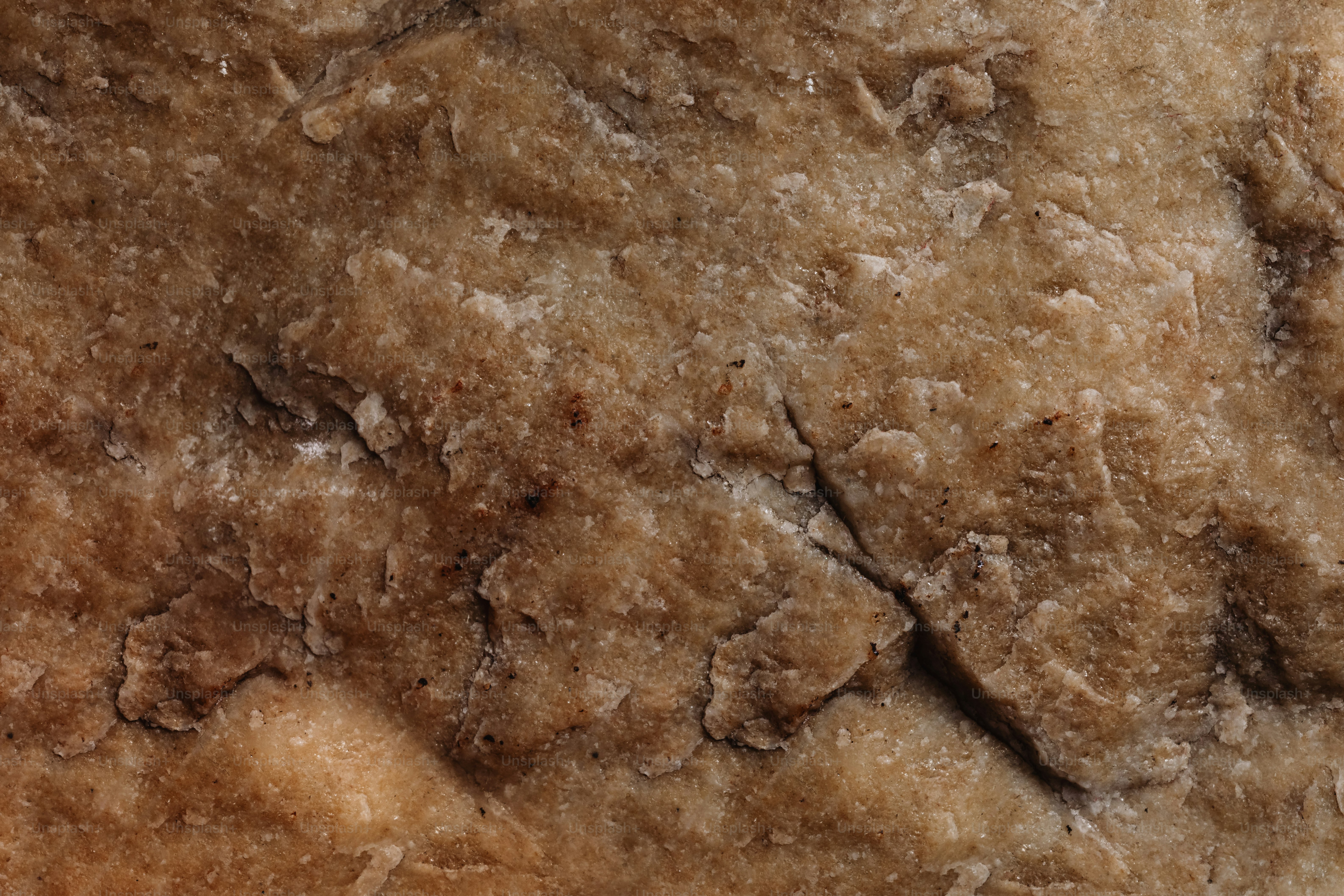 a close up view of a piece of food