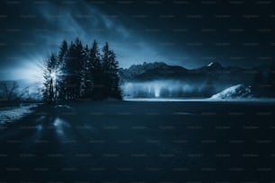 a snowy field with trees and mountains in the background