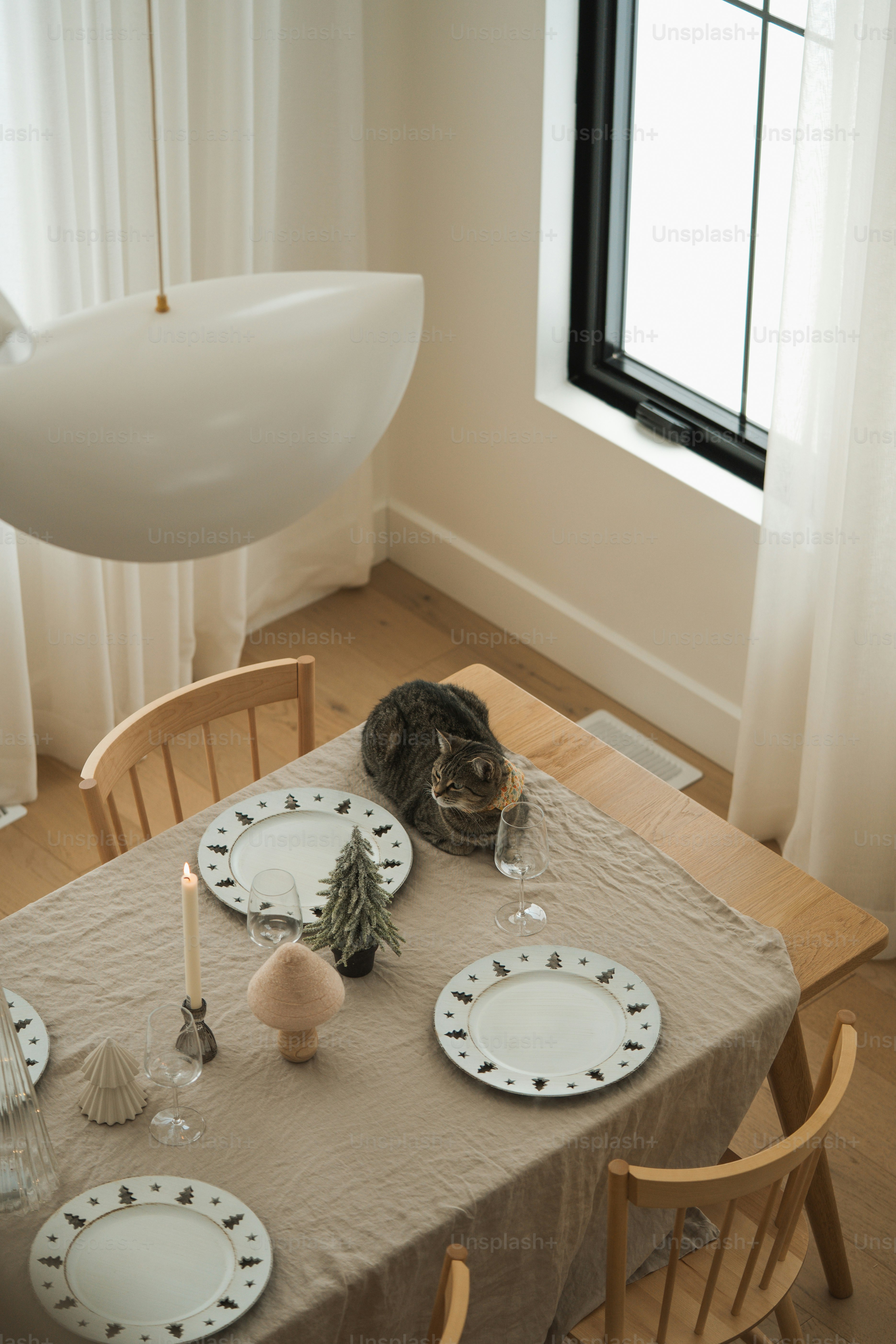 eine Katze, die auf einem Tisch neben einem Fenster sitzt